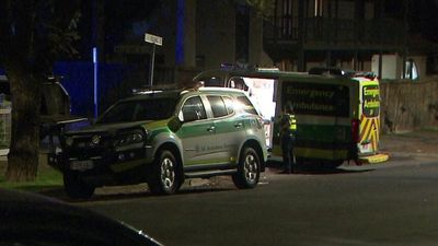 Mother and son stabbed in Unley after chasing men who had been breaking into woman's car