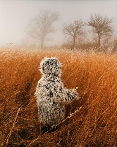 The big picture: at one with the Suffolk landscape