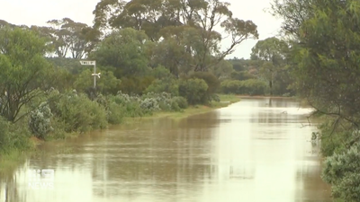 29YO Man Dies After Being Struck By Lightning In SA As Wild Storms Flash Floods Hit The State