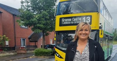 Dublin bus crisis is 'turning people away from public transport'