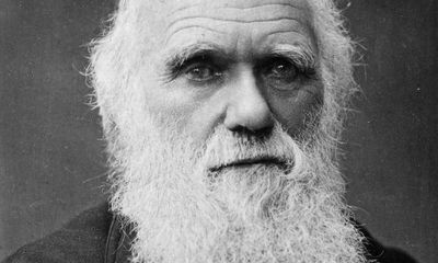 Charles Darwin autograph manuscript could fetch £700,000 at auction