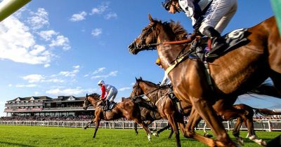 Newsboy’s horseracing tips for Monday’s four meetings, including Ayr Nap