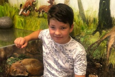 Family say they are ‘broken’ by death of boy, 12, in wall collapse