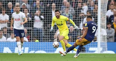 Callum Wilson and Eddie Howe in agreement after Hugo Lloris' Newcastle United goal complaints