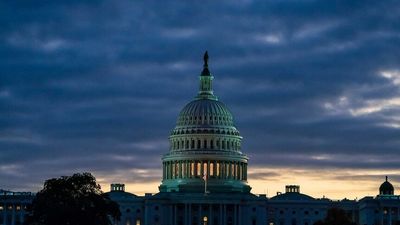 What are the US midterms? Why do they matter? And who might win the elections?