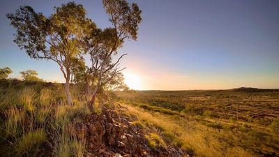 South Africa's largest gold miner sets sights on Australian copper with purchase of Cloncurry Eva Project