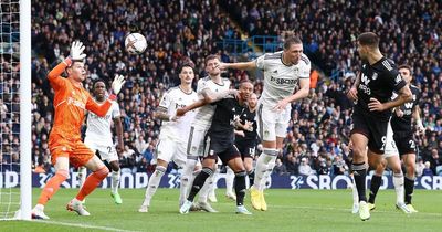 Give us your player ratings from Leeds United's defeat against Fulham