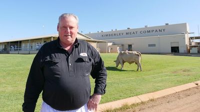 Kimberley Meat Company plans $35 million expansion at northern WA's only major abattoir
