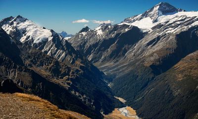 Big opportunity, little interest: New Zealand struggles to fill dream job protecting wildlife