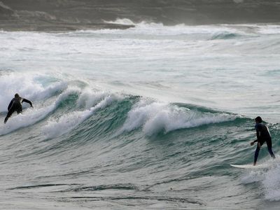 Tooth recovered after SA shark attack