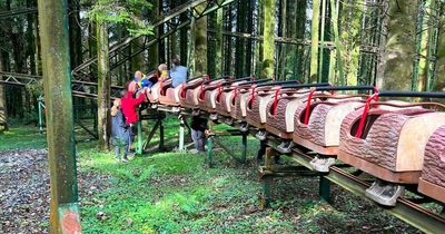 Rollercoaster slips off track at theme park as witnesses report 'horrific' screams