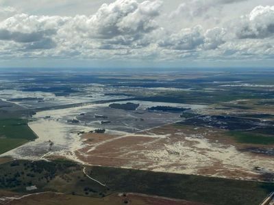 NSW floods cause $190 million crop damage