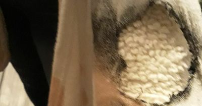 Woman hurt as youths throw fireworks into her yard in Newbiggin Hall