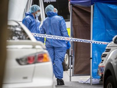 DNA lab chief 'failed to understand issue'