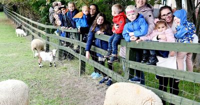 Nottingham parents share views of available budget half term activities