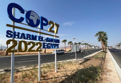 Egypt COP27 climate summit activists concerned voices will be curtailed