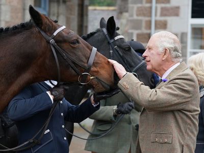 ‘You can’t keep them all’: King Charles to sell 14 horses inherited from Queen Elizabeth II