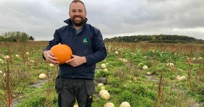 Giant pumpkin patch in Durham is offering acres of fun for families