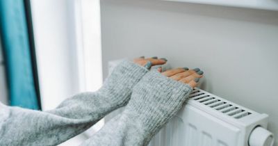 Expert shares radiator trick to avoid soaring heating bills this winter