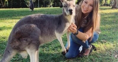 Bindi Irwin called 'pathetic and useless' over response to farm owner's plea for help