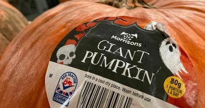 Morrisons accused of 'robbing shoppers' with eye-watering price of giant pumpkins