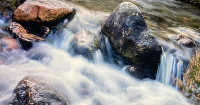 Scots photographer snaps image of 'woman's face' in Cairngorms stream