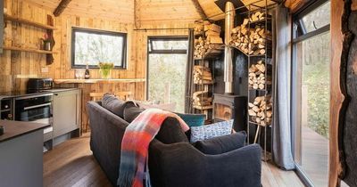 Man with rare cancer may have to tear down his 100k treehouse built during lockdown