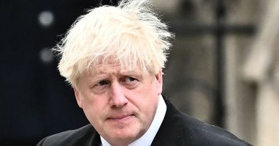 Boris Johnson 'has killed off his future' after pulling out of leadership race says ally