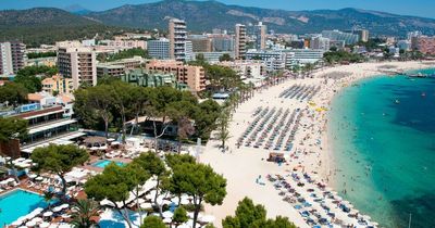 Majorca holiday warning for Brits as new rules introduced at restaurants