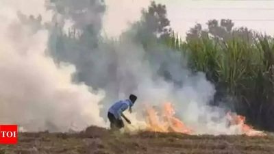 Punjab: Crop residue burning in full steam, over 1k burning cases in a day, over 51 percent cases in last 4 days