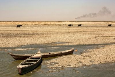 Iraq drought impacts potable water supply, crop yields: aid group