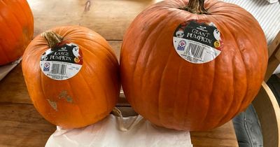 Halloween shoppers angered by Morrisons' 'giant' pumpkins with £8.99 price tag