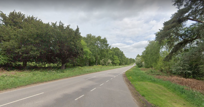 Man reportedly assaulted and robbed after finding stranded car near Thorsby Hall