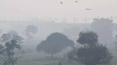 Stubble burning contribution to Delhi's pollution increases to 10 percent on Diwali