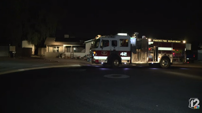 Elderly woman and dozens of dogs found dead after fire at Arizona home