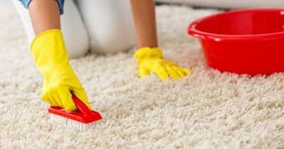 Cleaning guru shares 'foolproof' method to get foul smells out of your carpet