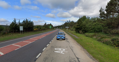 Pensioner, 83, dies and woman rushed to hospital after horror A9 crash