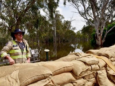 Authorities defend Echuca flood levee