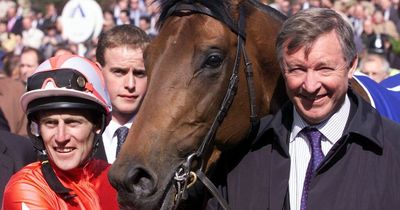 Sir Alex Ferguson's Rock of Gibraltar racehorse that led to the Glazer's purchase of Manchester United dies