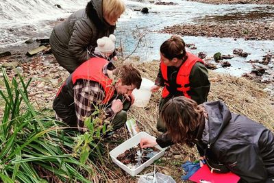 Citizen science project to gauge health of Scotland’s rivers