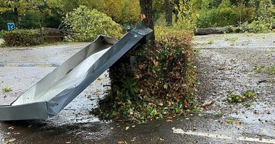 Tornado sweeps through British zoo damaging cars and trees but animals are left unharmed