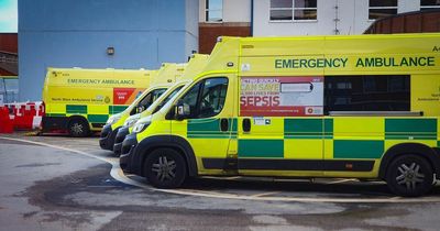 Ambulances line up outside hospital as A&E departments warn of SEVEN HOUR waits in region