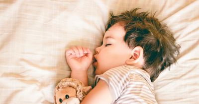 Parents urged to let toddlers nap during day as it helps brain and memory development