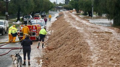 Authorities optimistic the worst has passed in Echuca as floodwaters peak on the Murray River