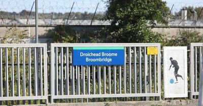 Gardai launch investigation after discovery of woman's body near Dublin Luas track