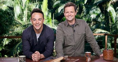 I'm A Celebrity return thrown into chaos as incoming storm shuts down camp