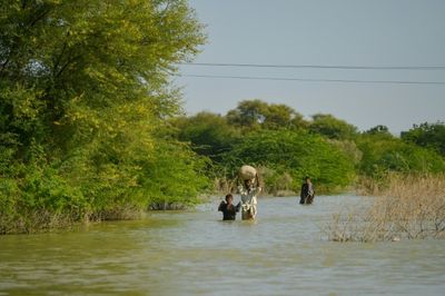 Food shock: Crop-battering disasters highlight climate threat