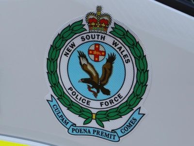 Alleged NSW child abuser charged