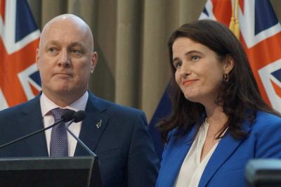 National wants to see NZ better reflected in its MPs