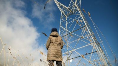 NSW unveils Australian-first scheme to compensate landholders for hosting new high-voltage powerlines